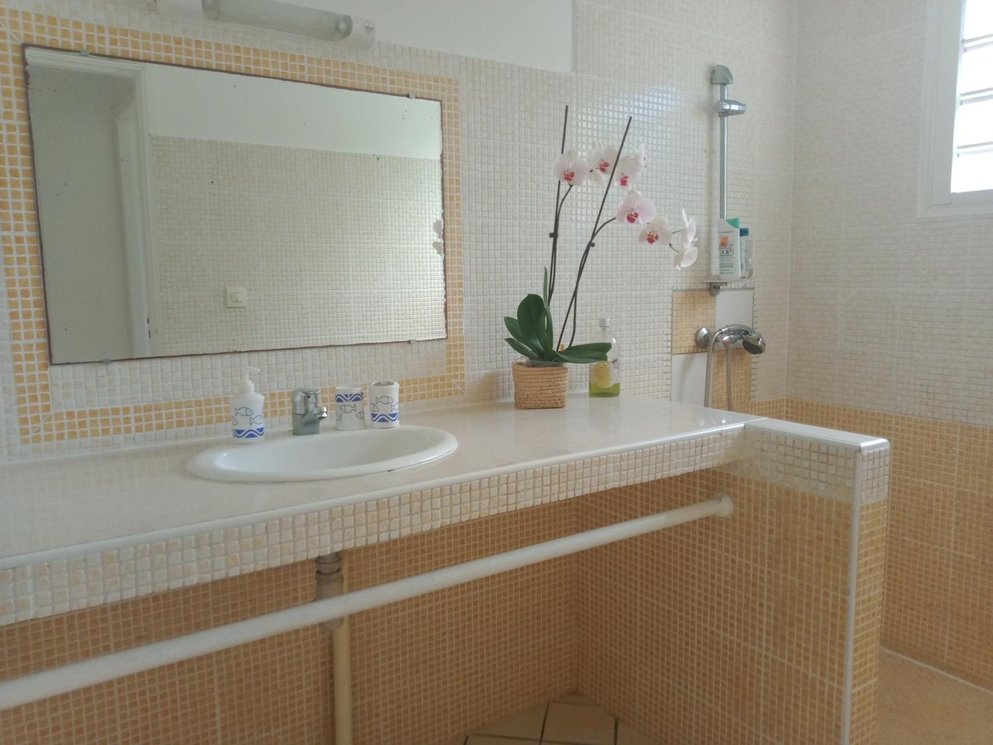 Ti Kaz Citron Villa แซ็งต์-โรส ภายนอก รูปภาพ